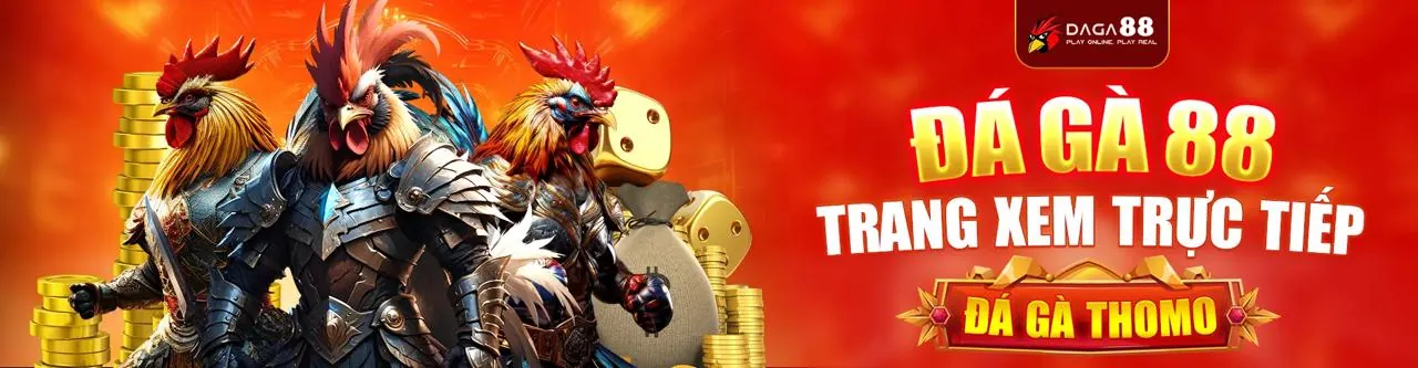 Sân đấu gà trực tuyến Nohu 88 Chính Thức
